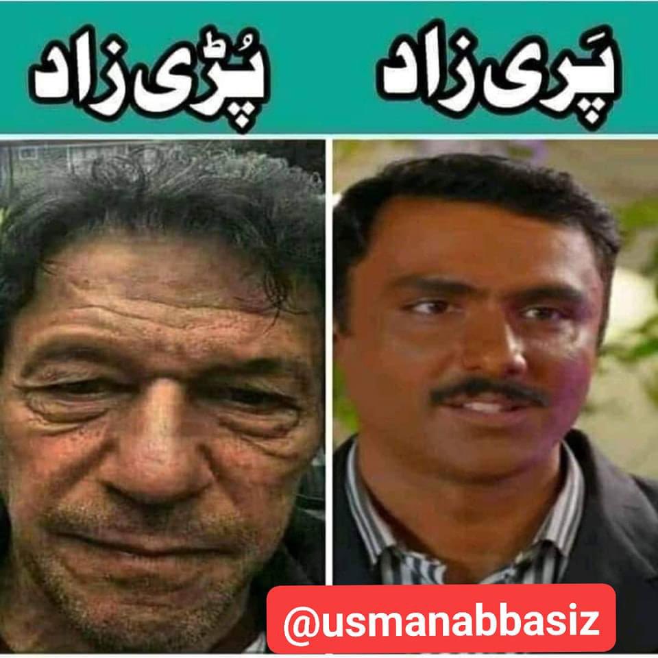 INAM_PML_N's tweet photo. @SafinaKhann https://t.co/jxIS9K19ej