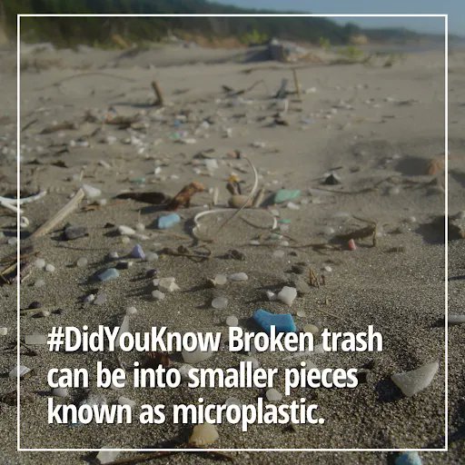 By sun exposure and wave action, plastic breaks into very tiny pieces and result in double danger. This process releases chemicals that further contaminate the sea.  

Let us protect our ocean from the plastic crisis!

TOGETHER, WE CAN SAVE OUR PLANET.