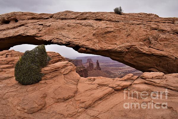 sfeaccount's tweet photo. New artwork for sale! - "Peek Through Mesa Arch" - https://t.co/5sbZQiGVj5 @fineartamerica https://t.co/12ljz2FXRW