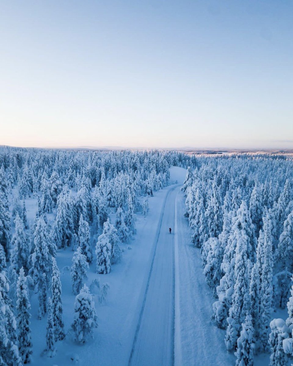 SwedishLapland's tweet photo. On a quest
#northcalling #travel #bikelife #cycling #swedishlapland
🚴🏻♂️ @ManzaniniArnaud
📷 @qiglesisphoto
swedishlapland | ig https://t.co/uKNyyKV3lp