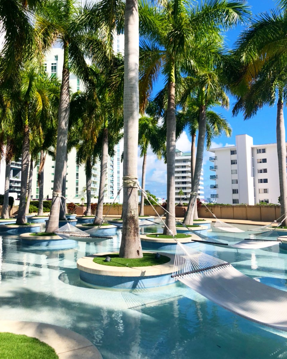 TracyMemoli's tweet photo. Swinging into the first week of 2022 🌴☀️#fsmiami #NewYear2022 https://t.co/zBBbe1TrpX