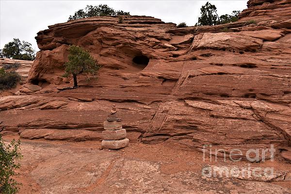 sfeaccount's tweet photo. New artwork for sale! - "Landscape of Canyonlands" - https://t.co/EdyX2O8HbX @fineartamerica https://t.co/kvmvwJ2qoa