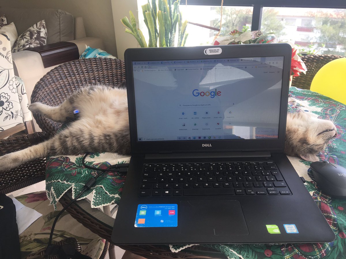 danielaz's tweet image. Primeiro dia útil de 2022.