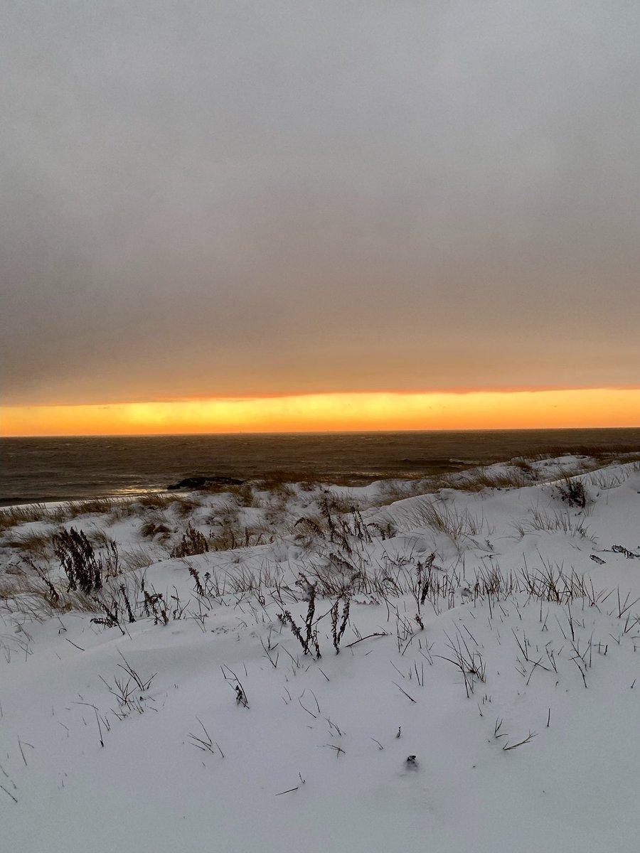 A SNOWY SUNSET on the beach at at Cape May Point, NJ #sunset #winter #NJWX <a href="/sunset_wx/">Sunset Weather</a> #weather #snow