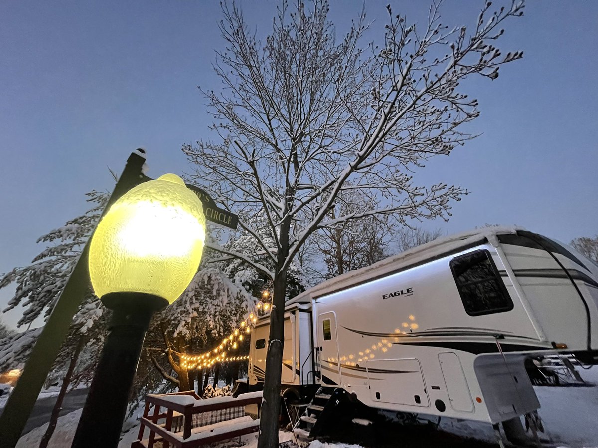 Paula Eve tweet media