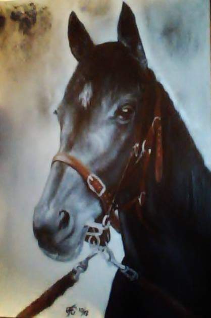 🔻🍉FRAN🎨 🇮🇪 🇳🇱🌷🐈🐕🦘🐬🐢 tweet media