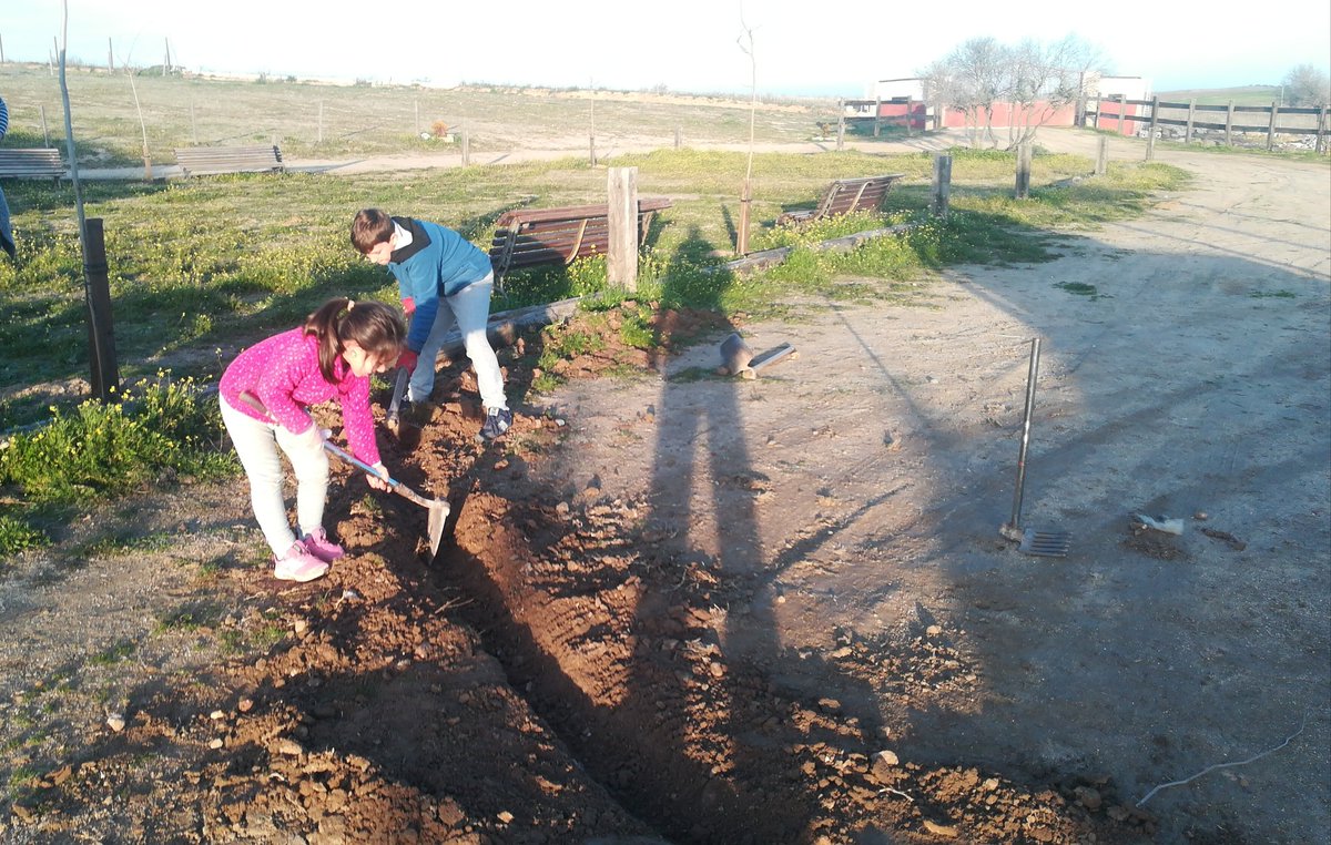 Finca Las dos Cruces tweet media