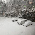 ツイートに含まれる画像