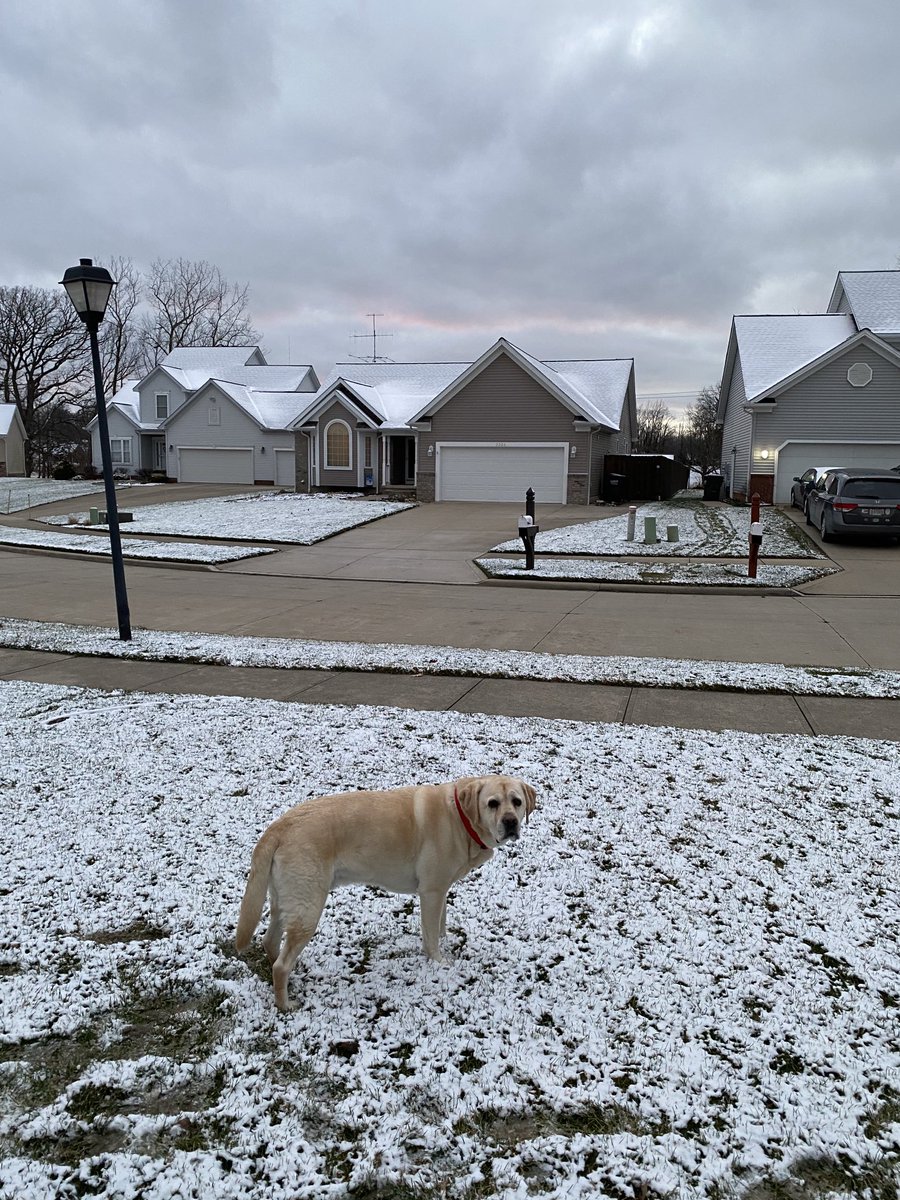 xvermonter61's tweet photo. Momma wanted to get outside for the pretty sky, but, unfortunately, it was almost gone! (Was a lot more pink!) #DogsofTwitter #MondaySunset https://t.co/tZ1XJPunH3