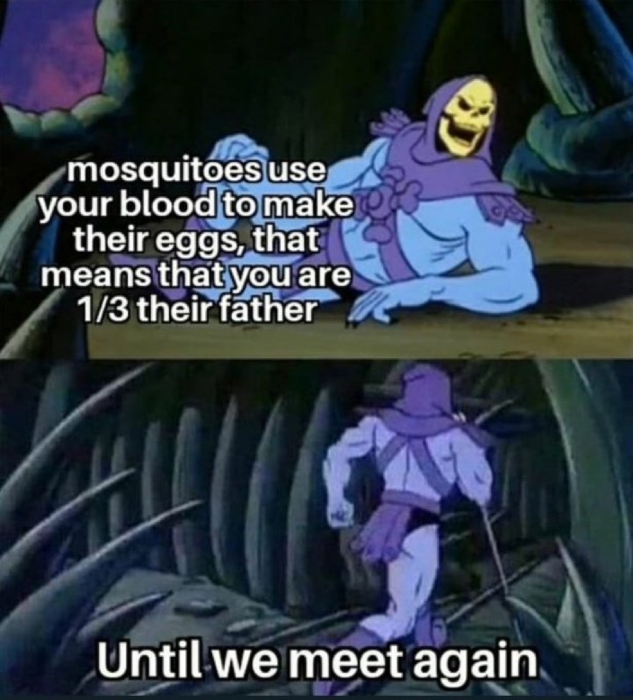 WholesomeMeme's tweet photo. Best wholesome meme in the replies gets posted tomorrow! https://t.co/SZ7iiVNXD4