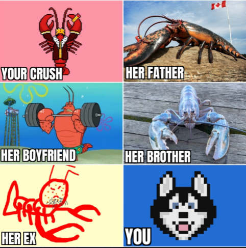 $LOBSTER Token🦞 tweet media