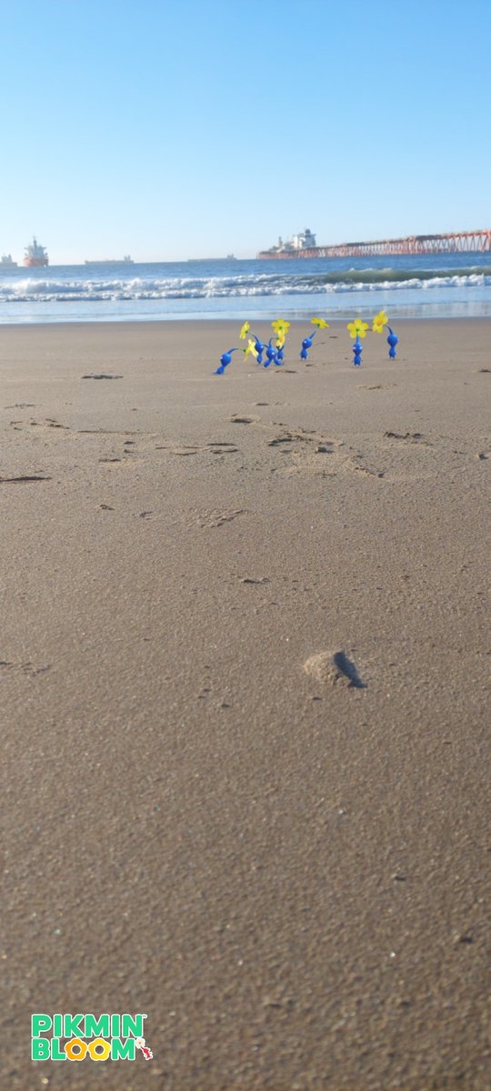 XeNoxT's tweet photo. #HolidayWithPikmin 
Only blues allowed🏖 https://t.co/NsBqoZpf1j
