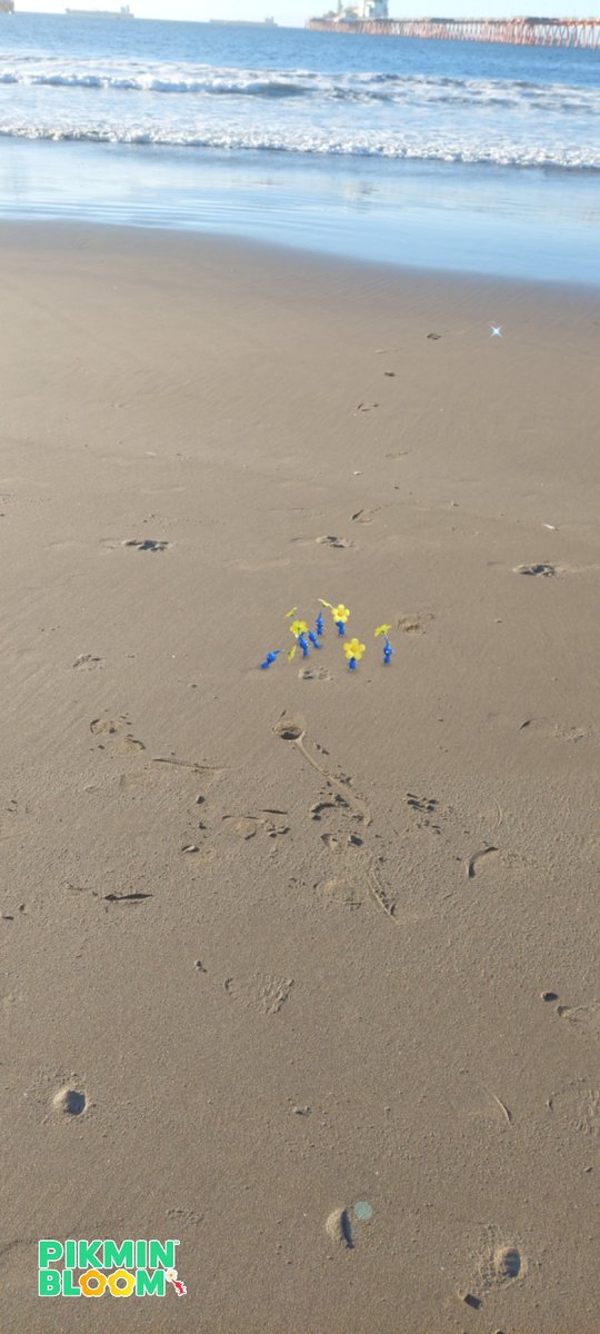 XeNoxT's tweet photo. #HolidayWithPikmin 
Only blues allowed🏖 https://t.co/NsBqoZpf1j