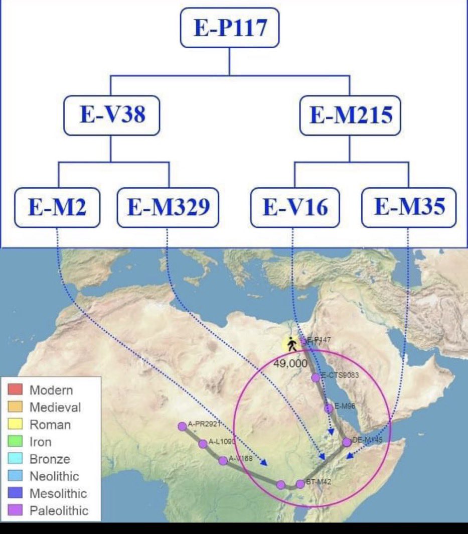 nbnbh67's tweet photo. منغوليا تحت E وليس لها شأن بالسلالة العربية السامية j1 وكلن يبي النسب وحنا دونه👌🏻 https://t.co/v0pq4wVKMH
