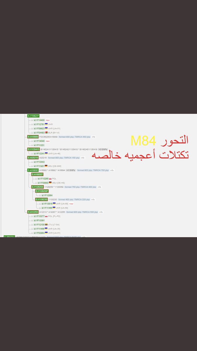 nbnbh67's tweet photo. منغوليا تحت E وليس لها شأن بالسلالة العربية السامية j1 وكلن يبي النسب وحنا دونه👌🏻 https://t.co/v0pq4wVKMH