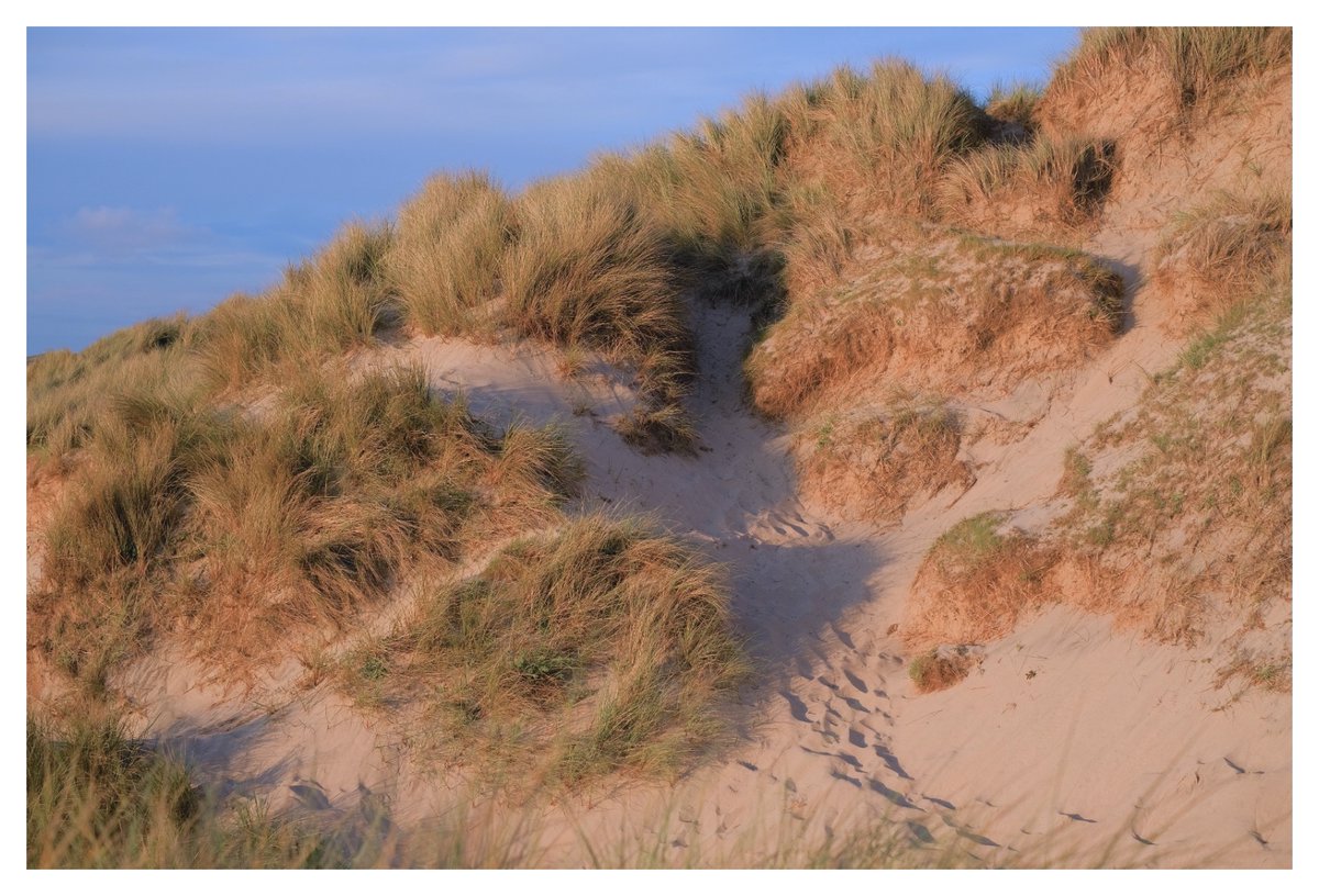 Lockdown meanders. Sharing a few shots from the first lockdown. 

instagram.com/p/CYSRY1DIQbE/…