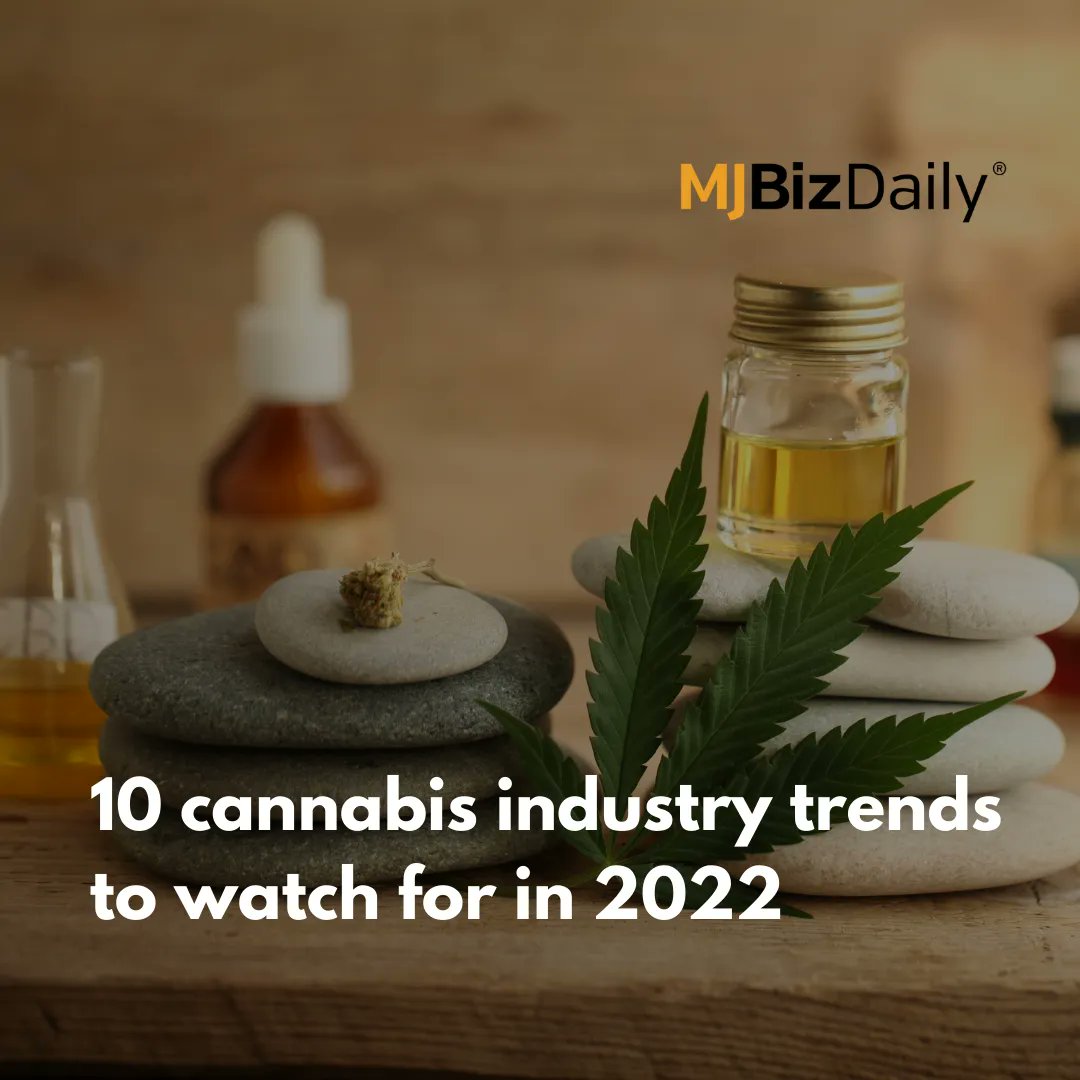 MJ Biz Daily Shares Trend Predictions in the Cannabis Industry for the upcoming year. 

Check the link to read the full article here: buff.ly/3pPsi3p
