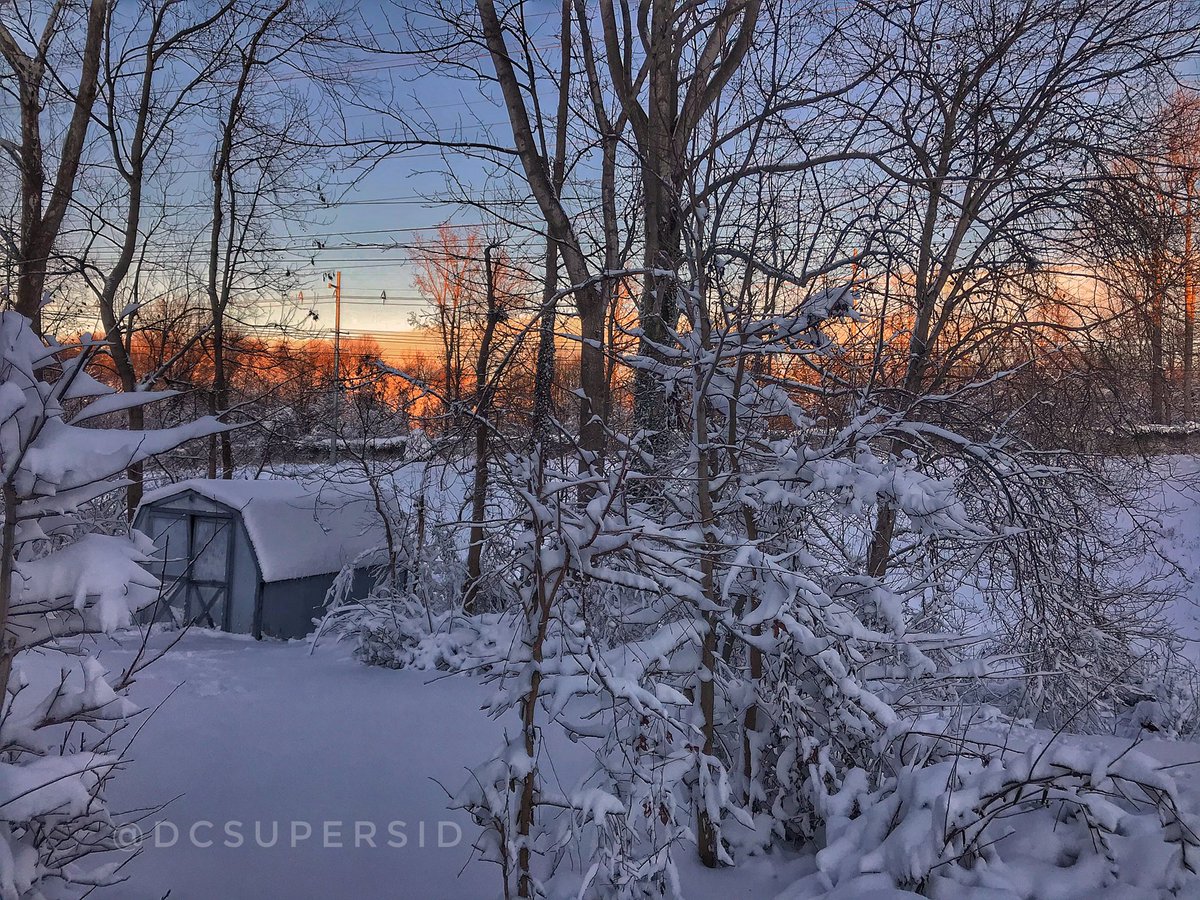 First snow photography #dcphotography #dmvphotography #Fox5SnowDay #winterwonderland