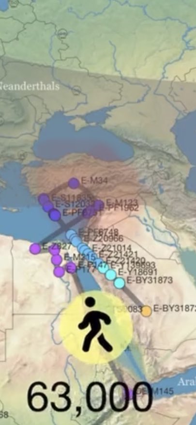 nbnbh67's tweet photo. منشأ السلالة E الغير عربية والغير سامية طبعًا السلالة E سلالة وافده على الجزيرة العربيه وعلى أهلها j1
أنا أتكلم عن حقائق ،دراسات ،منشأ تحورات،منطق حيث تكتلت قبايل العرب كلها تحت j1 ، لا أتحدث عن أمنيات كما يفعل بعض أبناء السلالة الغير عربية والغير ساميةE📝 https://t.co/Ilku6xigVL
