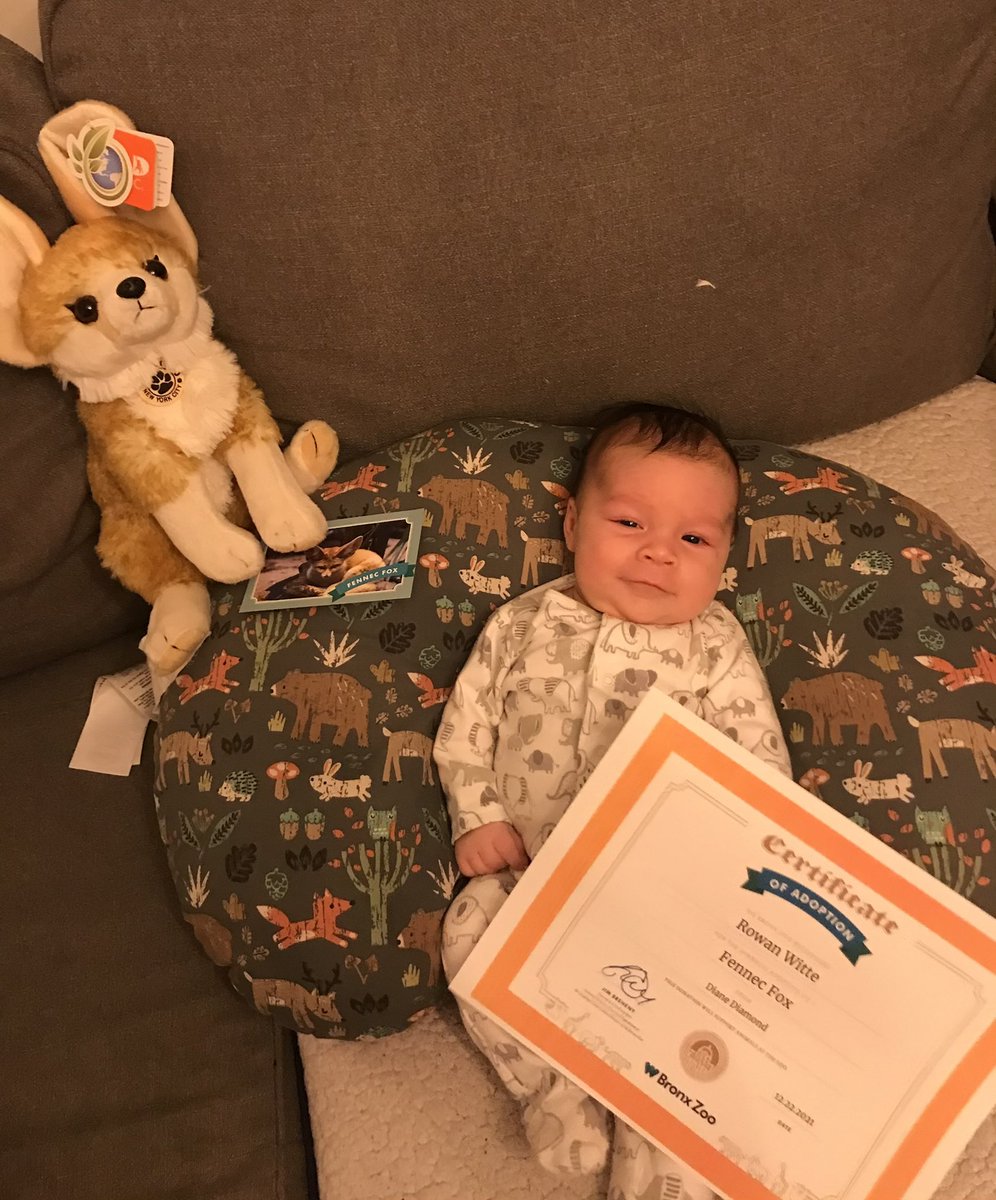 tWitte1025's tweet photo. Grandma hooked up my boy with a Fennec Fox! We love @BronxZoo we can’t wait for it to get warmer out!!! #SeeyouintheSpring https://t.co/yq00sXZZ1s