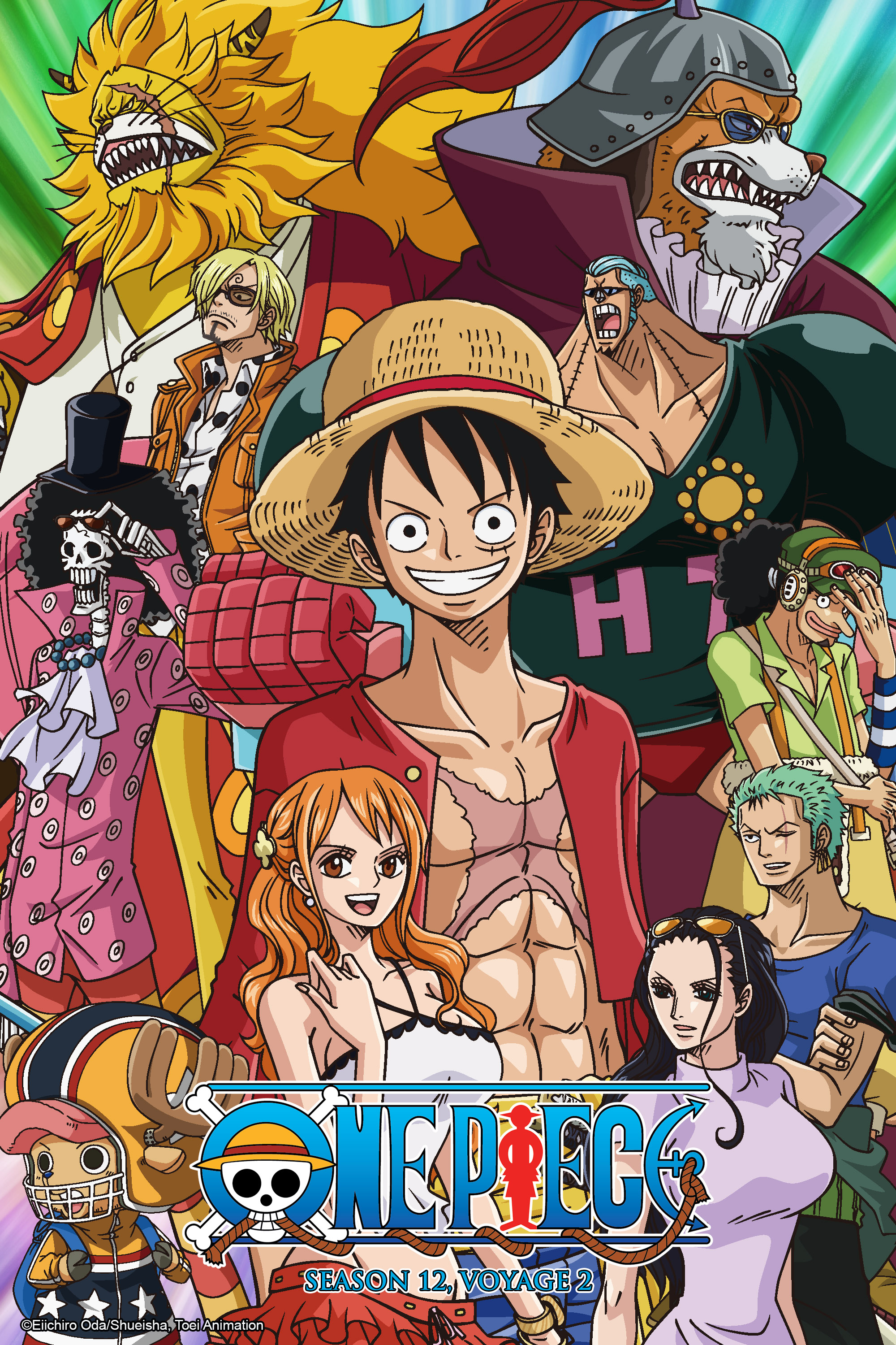 Toei Animation - So many grand adventures for the Straw Hats
