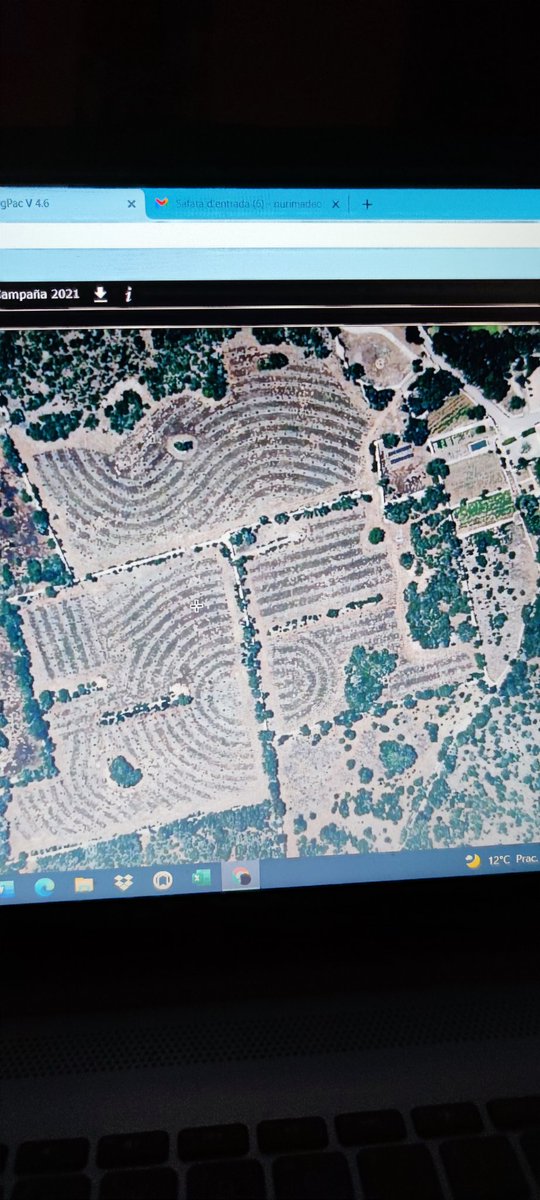 francescfont_'s tweet photo. Ja tenim alguns dissenys #keyline al #sigpac 😍
#regenerativefarming #regenerativeagriculture #keylinedesign #viticulturaregenerativa #menorca @agroassessor @theregenacademy https://t.co/L4ILu5naEh