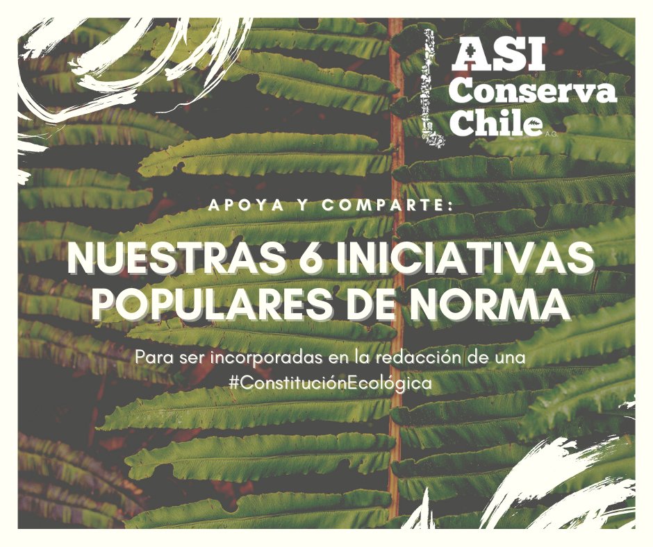 ASIConservaChile tweet media