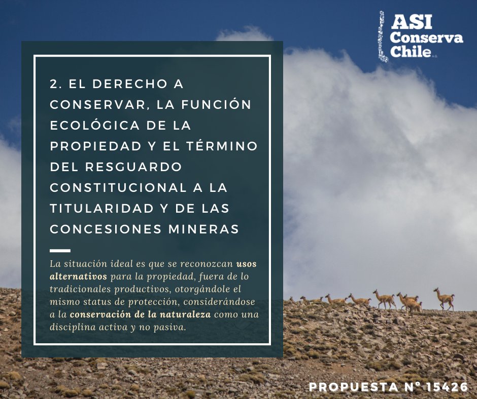 ASIConservaChile tweet media