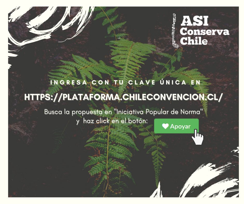 ASIConservaChile tweet media