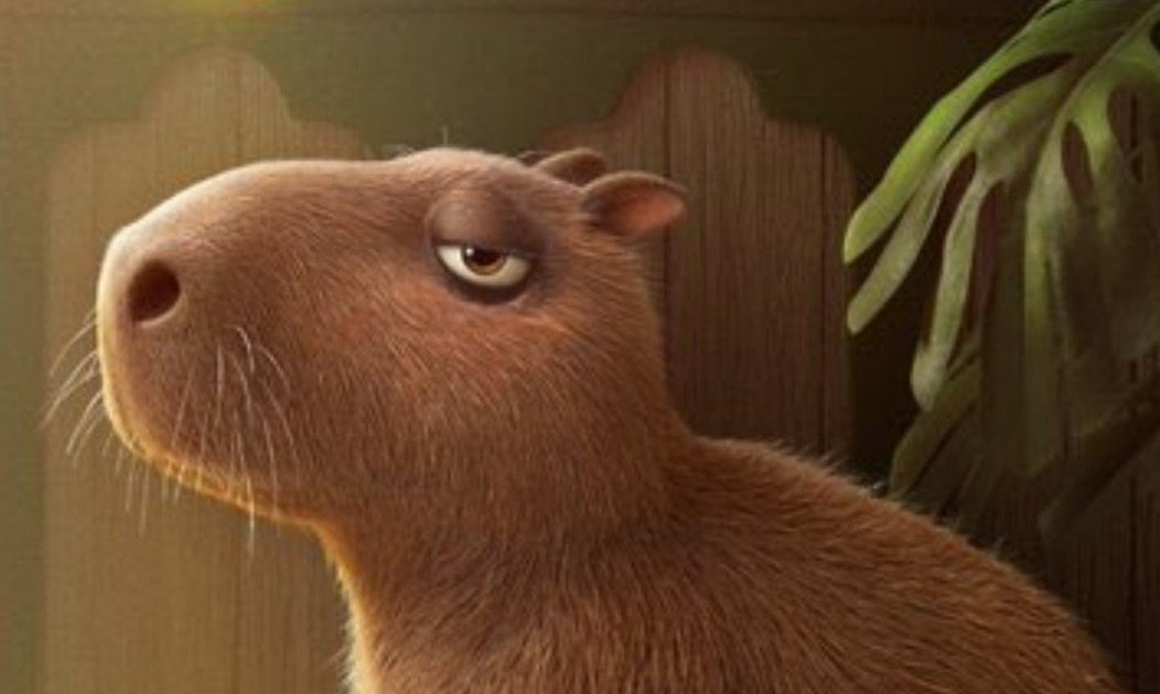Cute Capybara Doodles