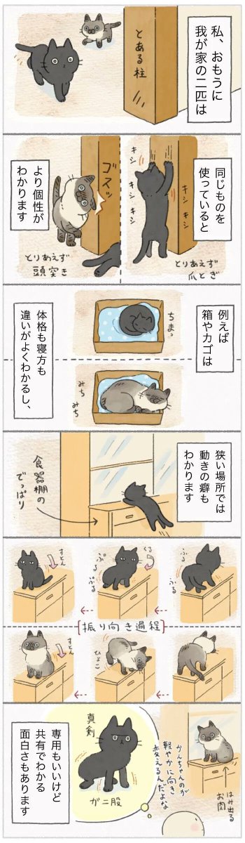 そんな面白い癖があったの?同じものを使っているとわかる個性【連載】ねこ連れ草 208話め|ねこのきもちWEB MAGAZINE https://t.co/1vfhAUjbf0 