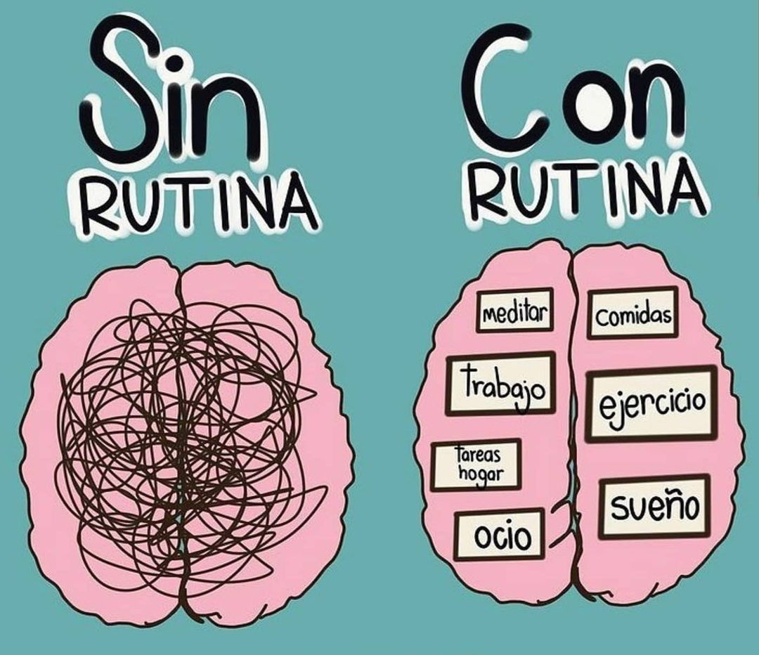 ClinicaRelox's tweet photo. Mantener una rutina hará que te desempeñes con mayor facilidad y confianza. Así, para lograr todos tus propósitos ¡empieza diseñando una nueva rutina! 
#SaludMental #propositos2022 https://t.co/pmPYXxECfm