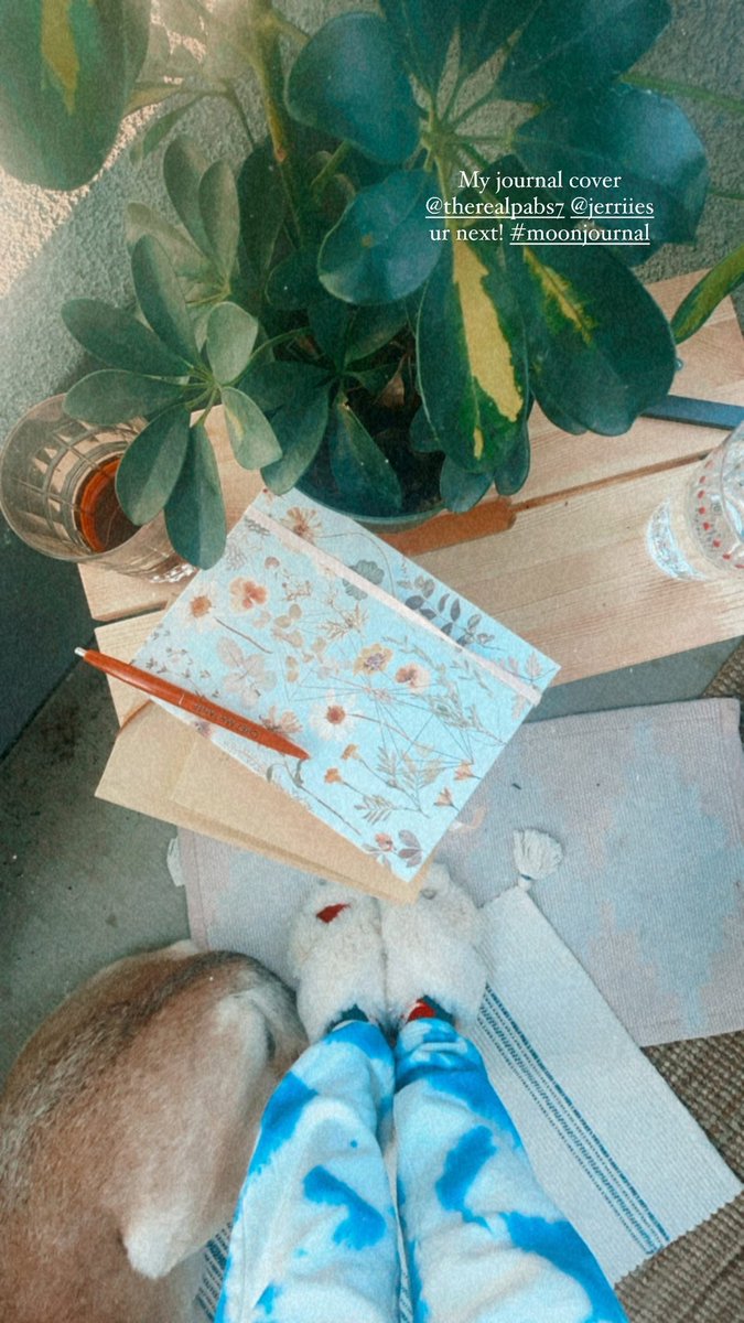 heyimsalty_'s tweet photo. My journal cover #moonjournal whose in? #2022NewYear https://t.co/TkPTxAuMM6
