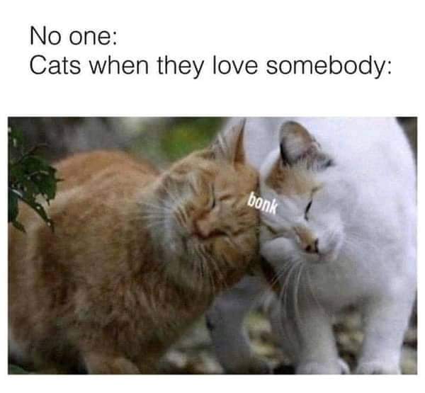 Karen Tabbal (@gholamkaren) on Twitter photo 