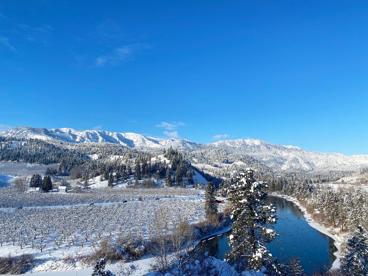 IcicleRidge's tweet photo. Happy New Year, from our home to yours!🥂

It’s the first Monday of 2022… and there’s your reason to pop that bottle &amp; celebrate! Cheers! ✨ 

#IcicleRidgeWinery #LogHome #SnowViews #HappyNewYear #MondayMood #WinterWonderland #HOME #Leavenworth #SnowyTrees #Winter #PNW #WaWine https://t.co/TlXAayKbFz