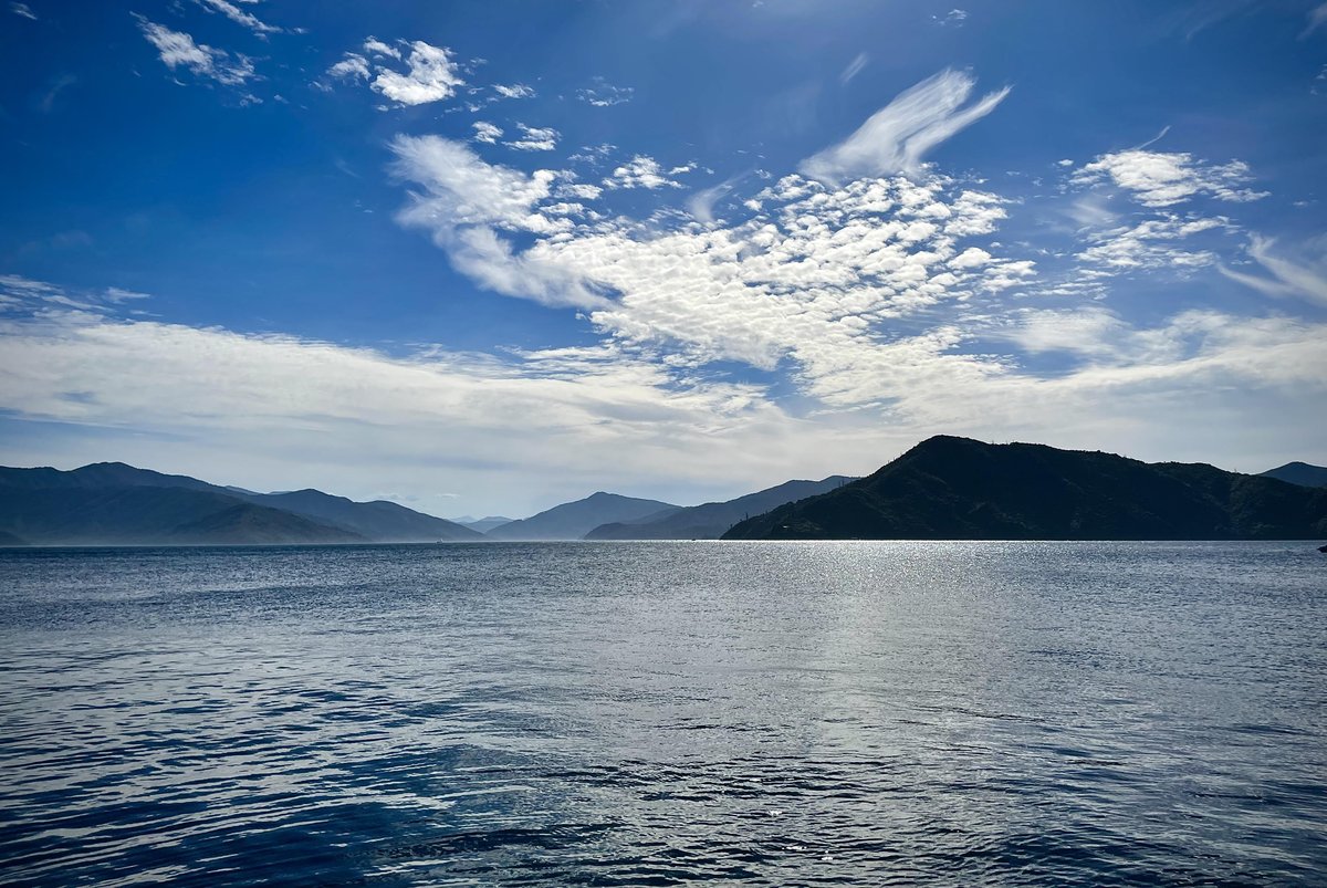 Our #Kingsalmon is produced here in Top of the South Island, New Zealand. We are privileged to have some of the cleanest waters in the world with high flow, depth and cool temperatures. We are proud to produce clean, safe, nutritious King salmon right here on our doorstep.