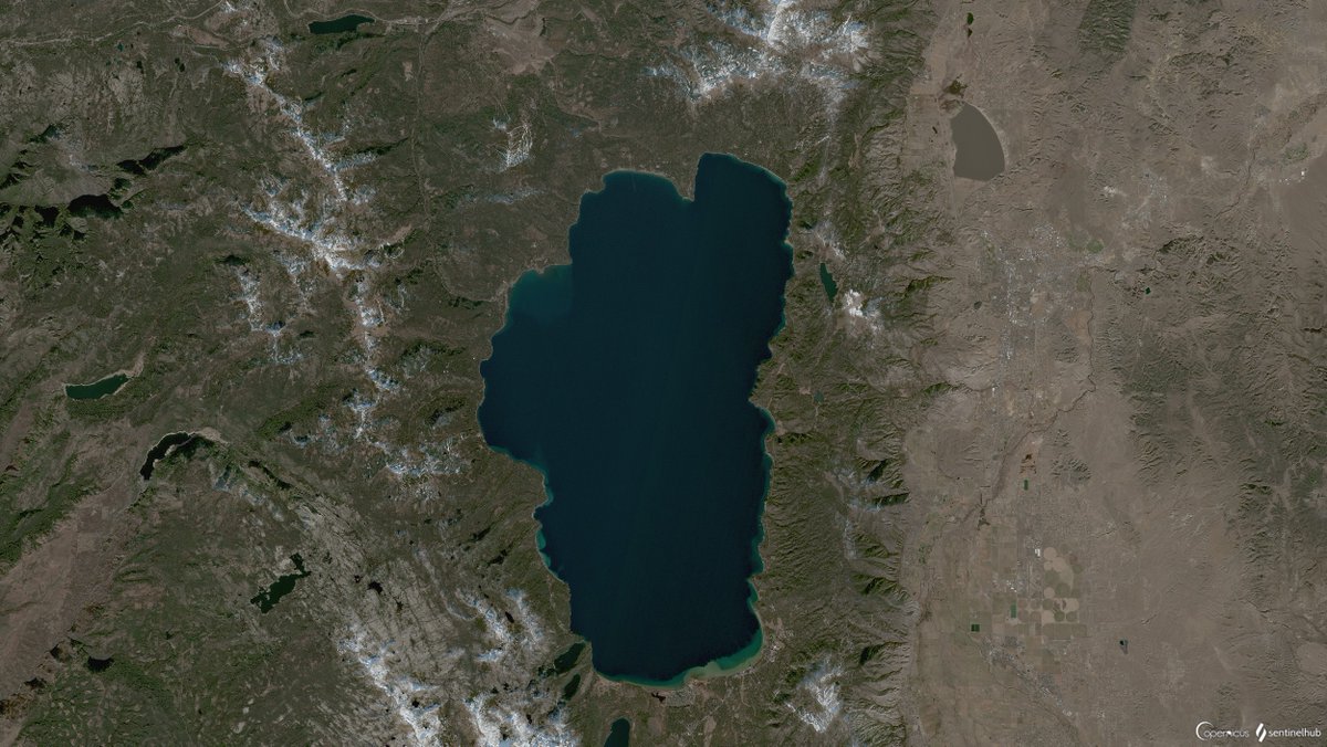 Colin McCarthy tweet media