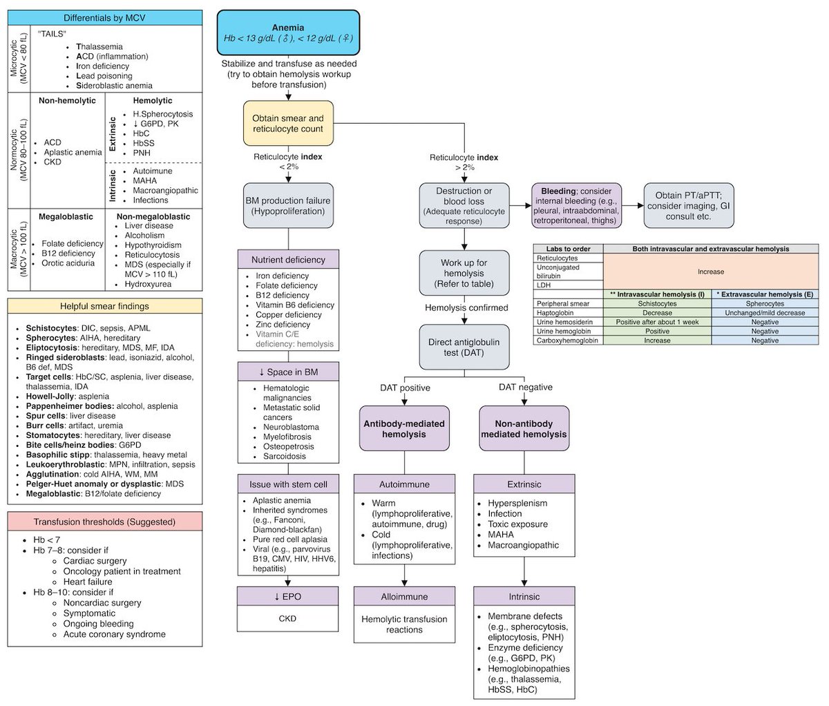 Anemia Flow Chart Autoimmune Hemolytic Anemia | Oncohema Key