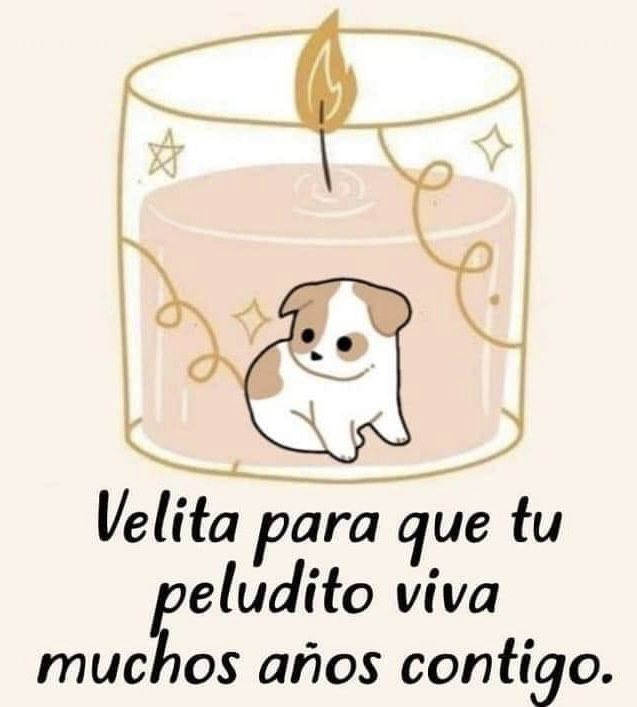 🤩🤩🤩
🤩 bit.ly/SudaderaBD 🤩