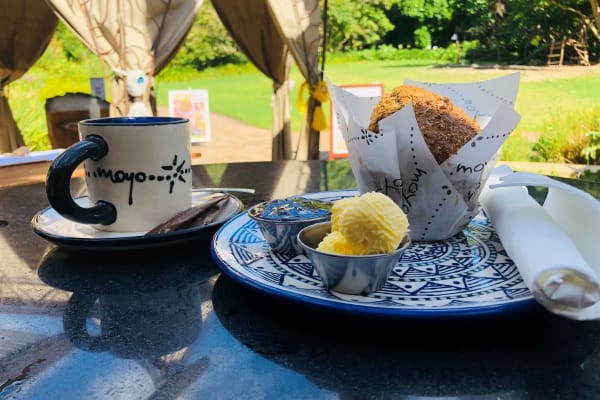 City Sightseeing Cape Town tweet media