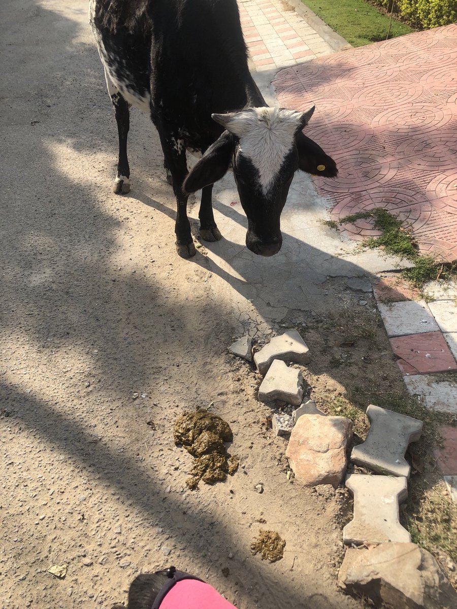 udaiveer tweet media