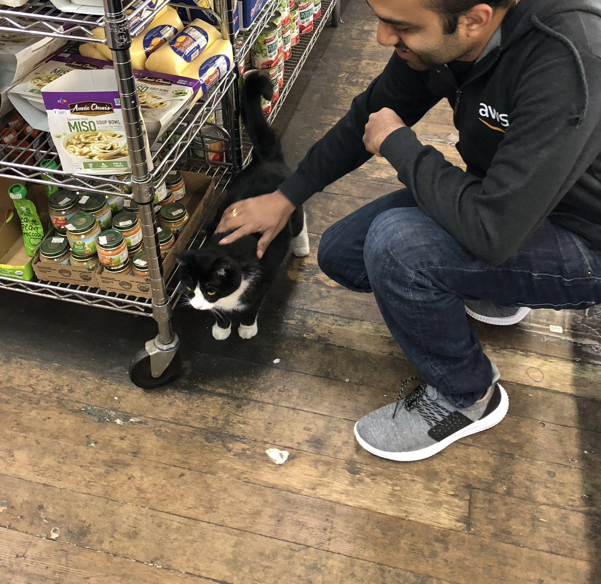 sunilmallya's tweet photo. Found a couple of pics with Tosca from 2018. She’d greet me every time I went to the store. Never thought she’d floof up the way she’s now. #Nabilas is a great neighborhood store. https://t.co/6TvTI0uPut