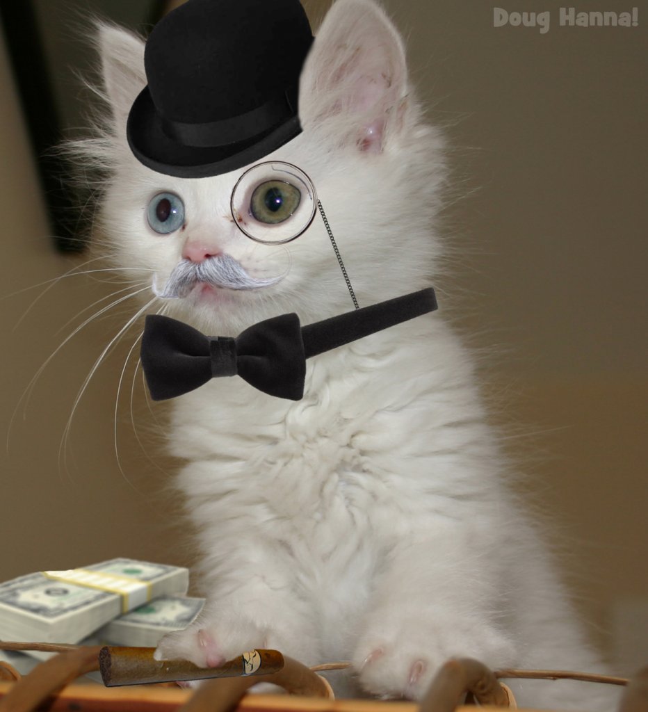 fancycatzNFT's tweet photo. My word! That fellow sort of looks like me. #nftart #NFT #NFTGiveaway #NewNFT #fancycatzNFT https://t.co/8tZ5Z3njRA