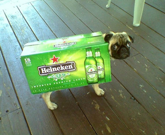 ThatsJustPunny's tweet photo. The hubs handed me $20
Said to get the dog
something warm
&amp; if there was any leftover
I could grab a beer 🤔😜🤣
#ImCrafty #CreativityForTheWin https://t.co/gi17F3aqt7