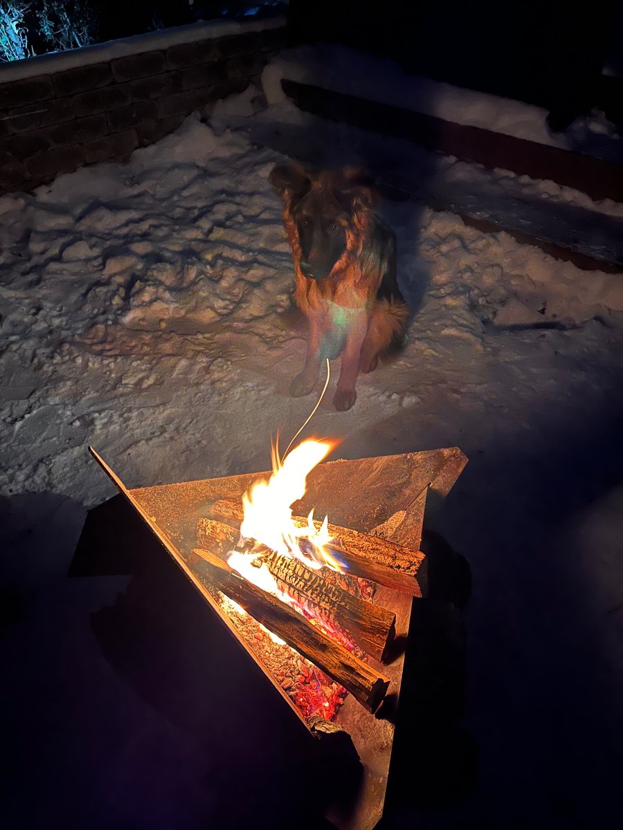 Christopher Hicks tweet media