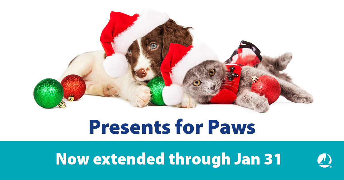 sdccu's tweet photo. We’ve extended this year’s Presents for Paws to help reach our goal of raising $10,000 for animals in need! Let’s help our furry friends and support our local animal shelters and rescues. Donate today at https://t.co/Hn4njJS0Sc. 

#PresentsforPaws #SDCCU https://t.co/4xNAIhYoXd