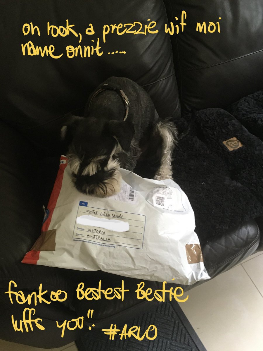 arlo_schnauzer's tweet photo. @HamishShortie fankoo bestest bestie… lookie wot da postie delivered moi jus now… I gibbed im an elluvva gobfull n’all BOL BOL
Luffa yoo… 😘😘😘
#April2022 #TapsSchnozza https://t.co/dv7tZ3HMku