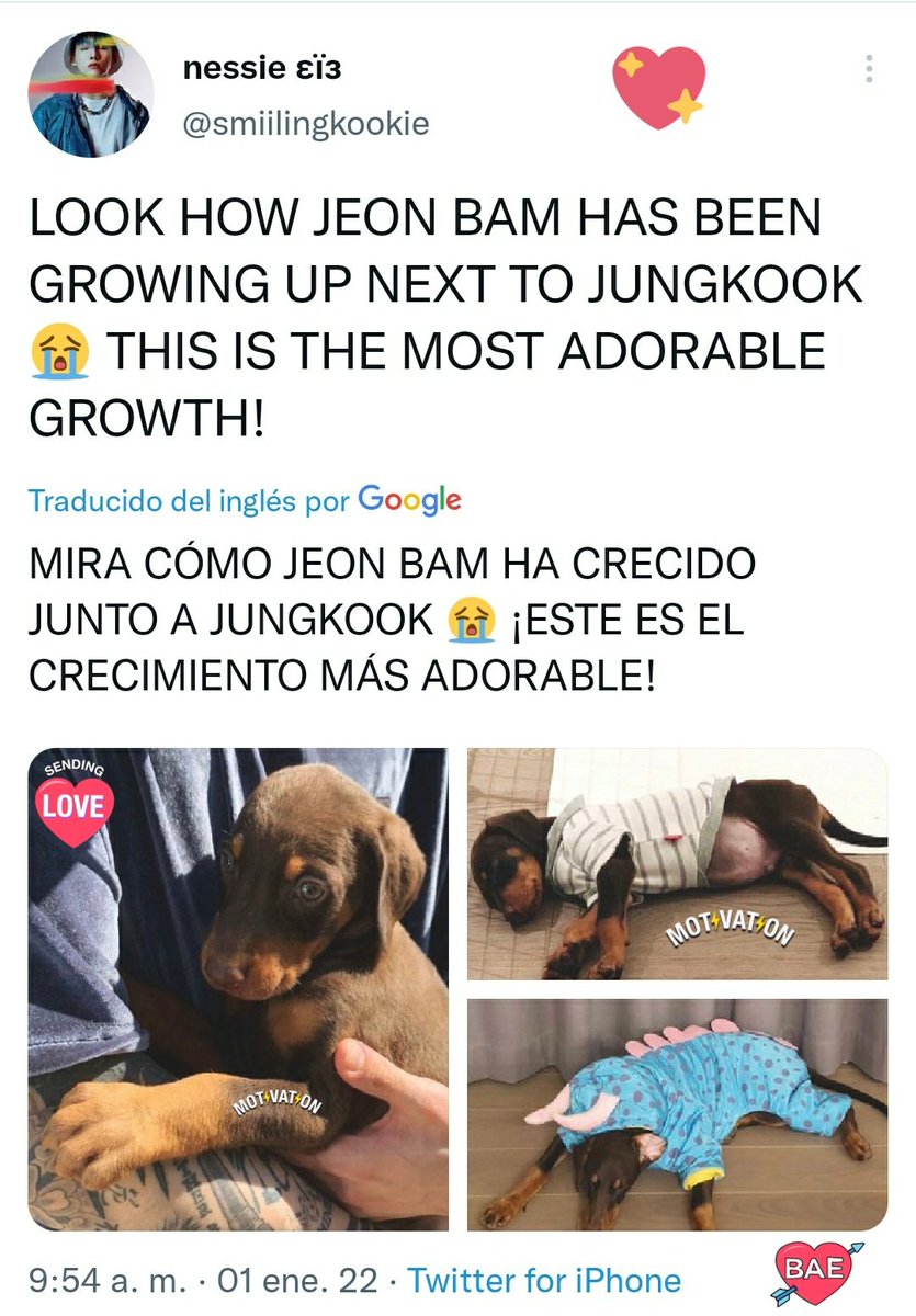 Diana_JKGolden's tweet photo. @trboxing @JeonJungkook_BR También se puede escuchar el ladrido de Bam. JK y Bam 🐕💜🐰💐
Jeon Jung Kook y Bam 🐕💜🐰💙
#KookBam 💐 https://t.co/UGAHwq8zuQ