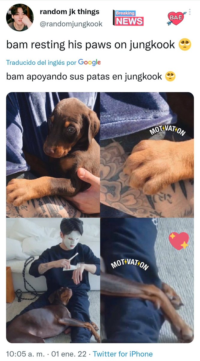Diana_JKGolden's tweet photo. @trboxing @JeonJungkook_BR También se puede escuchar el ladrido de Bam. JK y Bam 🐕💜🐰💐
Jeon Jung Kook y Bam 🐕💜🐰💙
#KookBam 💐 https://t.co/UGAHwq8zuQ