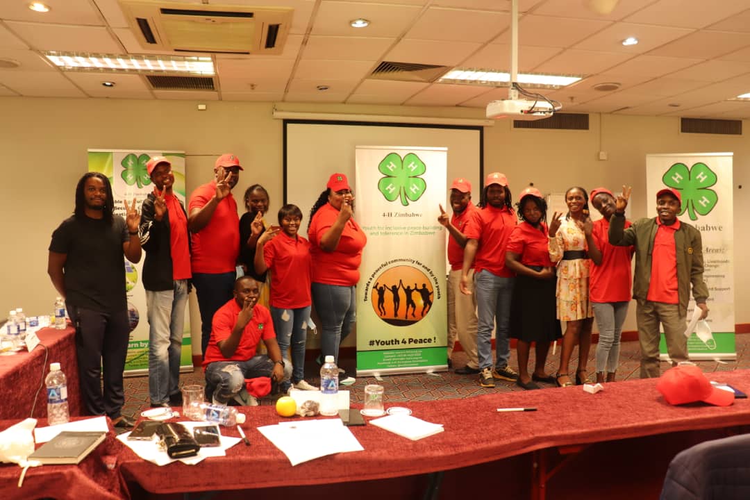#Youth4peace with MDC-T politcal party